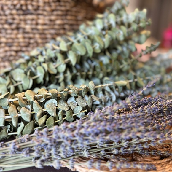 Real dry eucalyptus branches. Eucalyptus For Shower, vase flowers. - Picture 4 of 5